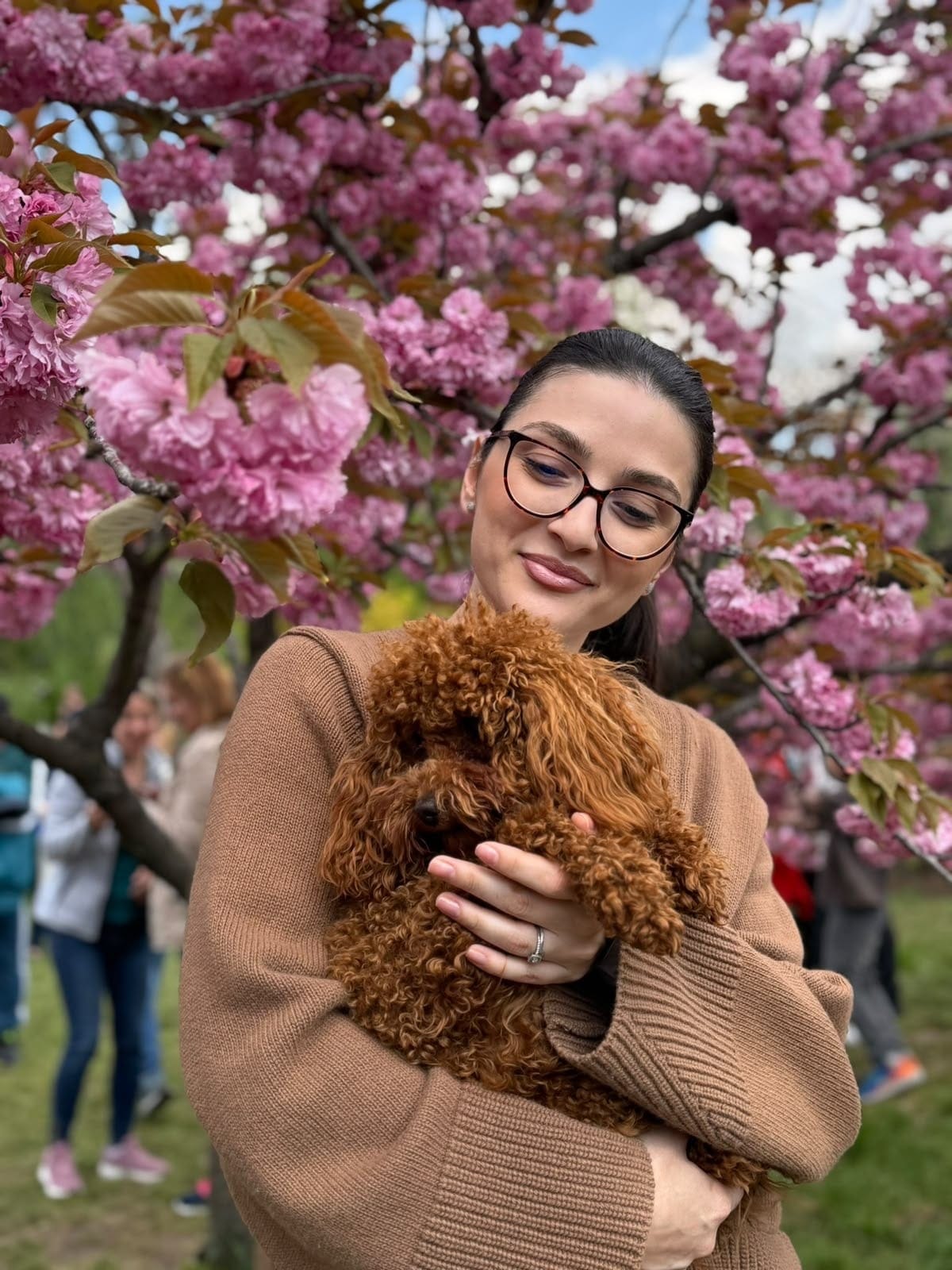 Tânără cu ochelari care ține un câine pudel maro, sub un cireș japonez înflorit