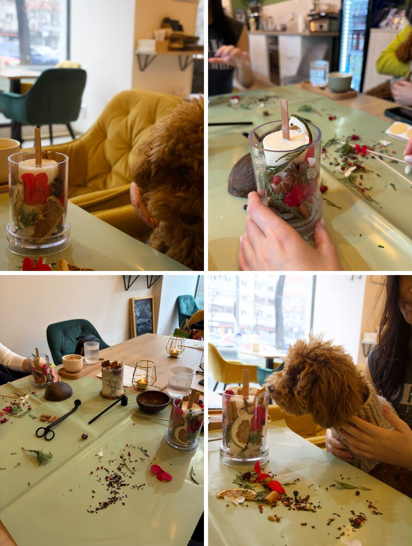 Lumânări botanice făcute la un atelier, cu felii de portocală uscată, scorțișoară și flori, pe o masă cu materiale